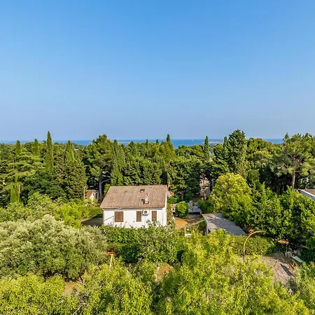 Premium Pina Apartman *