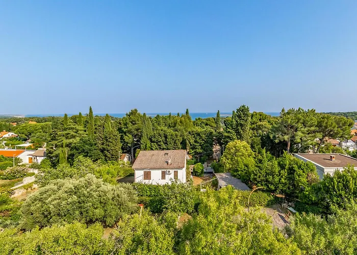 Premium Pina Apartman *