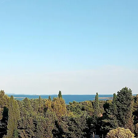Premium Pina Apartment *